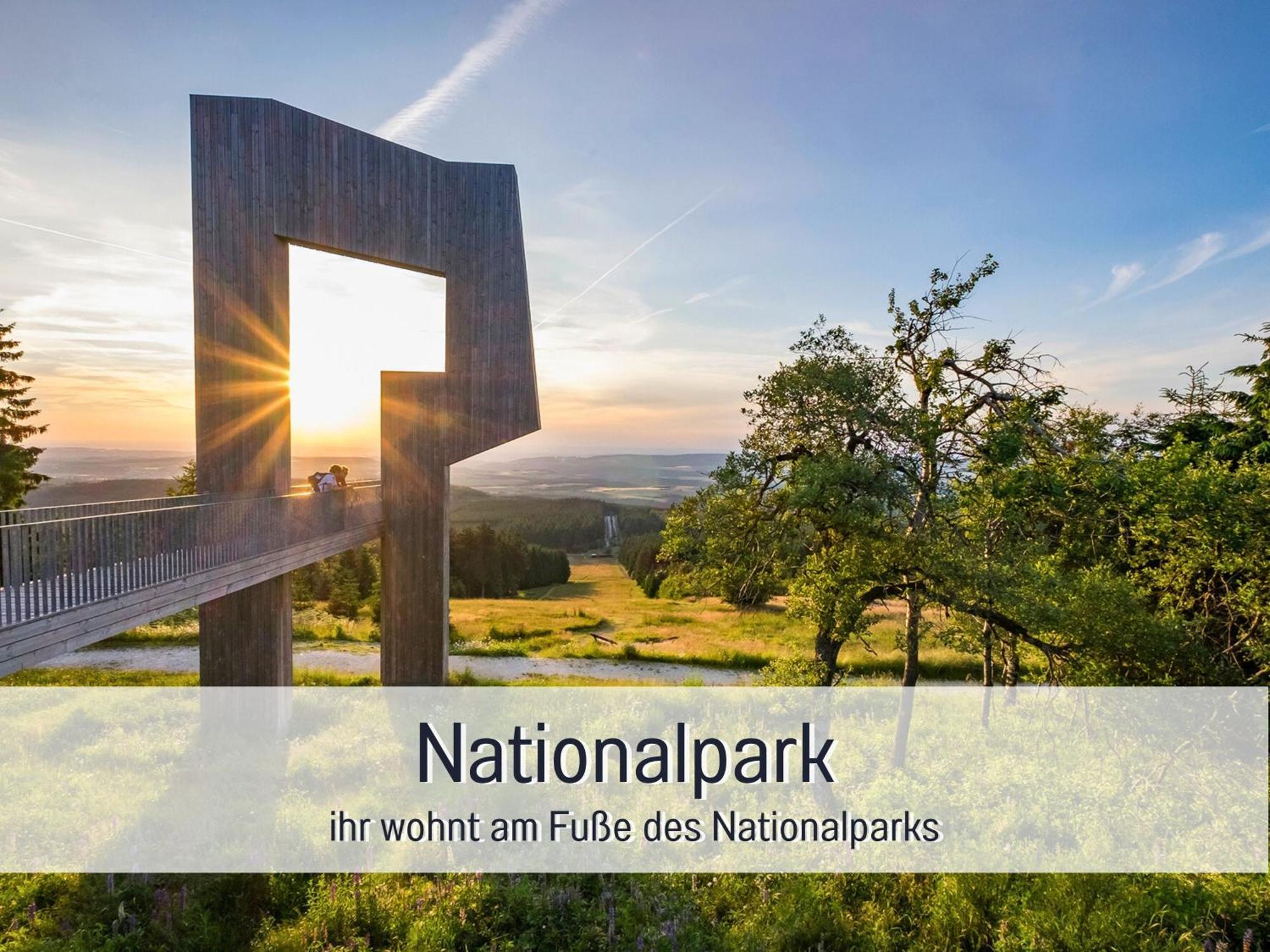 Natur-Chalet Zum Nationalpark Marie-Luise Inkl E-Auto Allenbach Εξωτερικό φωτογραφία